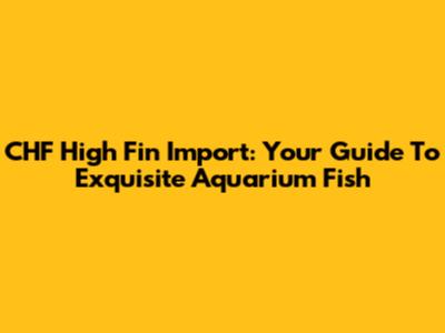 CHF High Fin Import: Your Guide To Exquisite Aquarium Fish