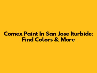 Comex Paint In San Jose Iturbide: Find Colors & More