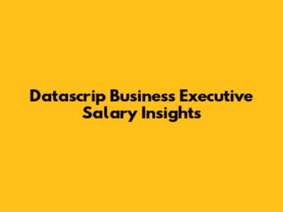 Datascrip Business Executive Salary Insights