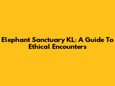 Elephant Sanctuary KL: A Guide To Ethical Encounters