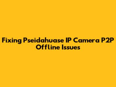 Fixing Pseidahuase IP Camera P2P Offline Issues