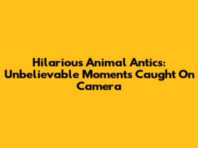 Hilarious Animal Antics: Unbelievable Moments Caught On Camera