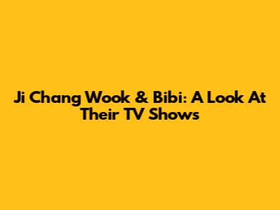 Ji Chang Wook & Bibi: A Look At Their TV Shows