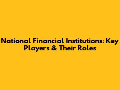 National Financial Institutions: Key Players & Their Roles
