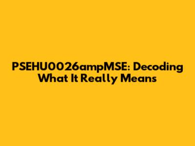 PSEHU0026ampMSE: Decoding What It Really Means
