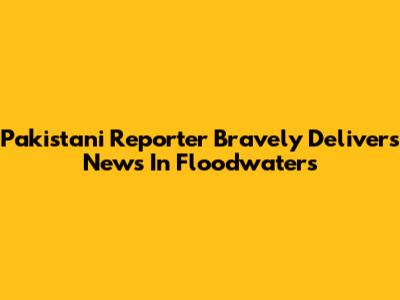 Pakistani Reporter Bravely Delivers News In Floodwaters
