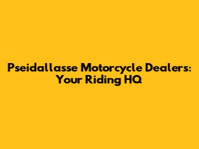 Pseidallasse Motorcycle Dealers: Your Riding HQ