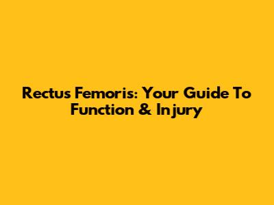 Rectus Femoris: Your Guide To Function & Injury