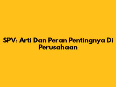 SPV: Arti Dan Peran Pentingnya Di Perusahaan