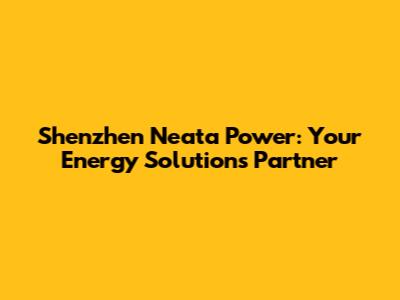 Shenzhen Neata Power: Your Energy Solutions Partner