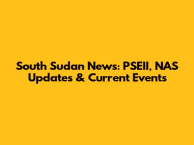 South Sudan News: PSEII, NAS Updates & Current Events