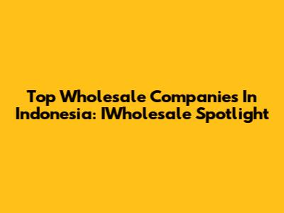 Top Wholesale Companies In Indonesia: IWholesale Spotlight