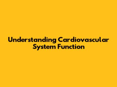 Understanding Cardiovascular System Function