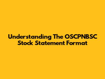 Understanding The OSCPNBSC Stock Statement Format