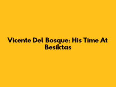Vicente Del Bosque: His Time At Besiktas